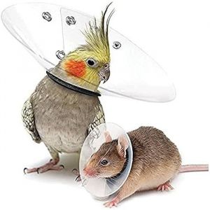 Collier - KVP - Saftshield - L&eacute;ger - Rembourrage double - Acier inoxydable