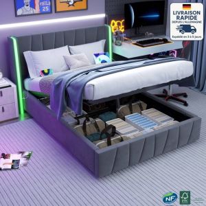 Modfu - Lit coffre adulte 160x200cm, velours, lit double led, sans matelas, usb, gris,