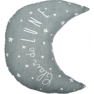 Image de Coussin Lune Gris