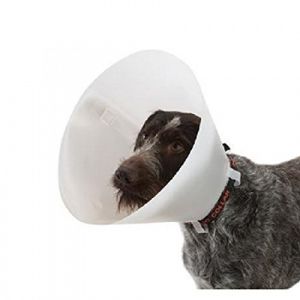 Croci Collier Elisabeth pour Chiens 12,5 cm