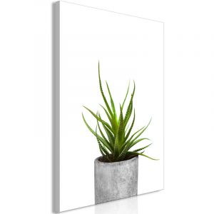 Artgeist Tableau - Haworthia (1 Part) Vertical - 80x120