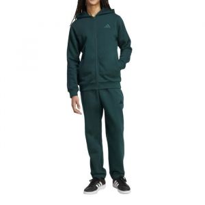 Adidas Survêtement Colorblock vert menthe - L