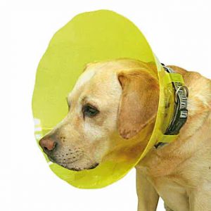 Difac Carcan pour chien T2