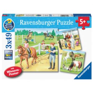 Ravensburger WWW : Une journée à la ferme des chevaux