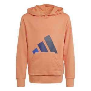 Adidas Sweatshirt &agrave; capuche enfant Essentials