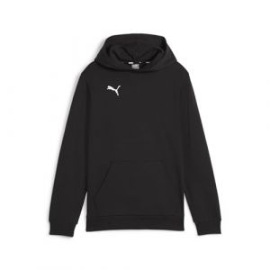 Puma Teamgoal Casuals Hoody Jr Pull pour Enfant
