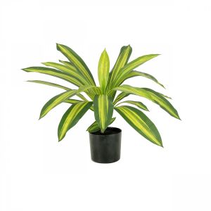 Ligne Deco Dracena artificiel 50cm
