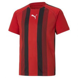 Puma T-shirt à Manches Courtes Teamliga Striped 5-6 Years Redma Black