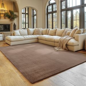 Tapis SIMPEX 120x160 cm Poils Courts Lavable Doucement Antidérapant et Design Moderne pour Salon Chambre Marron