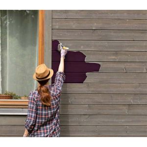 Violet Aubergine-Peinture naturelle écologique intérieur extérieur aspect satin Natura - 1L