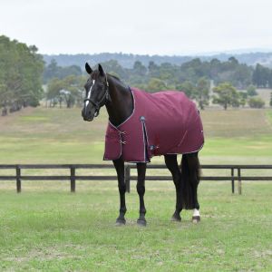 Weatherbeeta Couverture d'ext&eacute;rieur pour cheval Comfitec Essential 0g