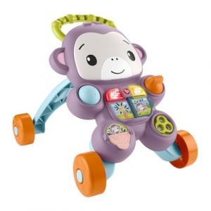 Fisher-Price Jouet d’éveil Mon Trotteur Singe Violet avec Musique, lumières et activités à partir de 6 Mois, JGW90