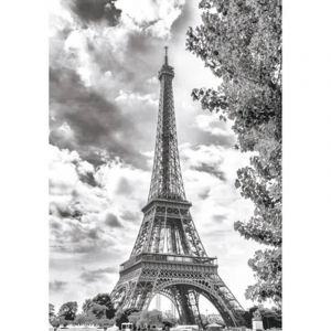 Dino Puzzle 500 pièces : Tour Eiffel en Noir et Blanc