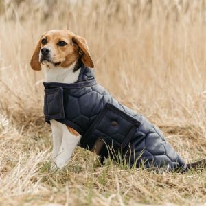 Couverture pour chien QHP Classy