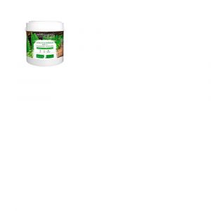 Violet Aubergine-Peinture murale naturelle écologique aspect satin intérieur Natura - 2,5L