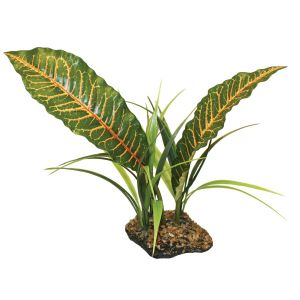 Komodo Accessoire pour aquarium Tropical Canopy