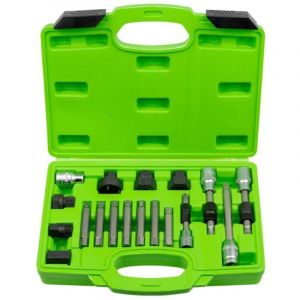 Ludi Coffret pour demontage de poulie debrayable d'alternateur - 18 pieces