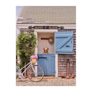 Galison Livre Puzzle 1000 pièces : Grey Malin - Nantucket