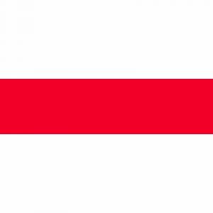 Copic Marqueur à alcool double pointe Marker Lipstick red R29