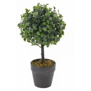 AC-Déco Buis en pot - 2 coloris - Modèle aléatoire