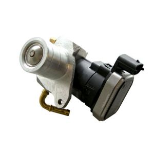 Lizarte Vanne EGR EGR016 d'origine