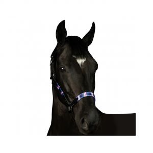 Licol pour cheval Flags&Cup Chukka