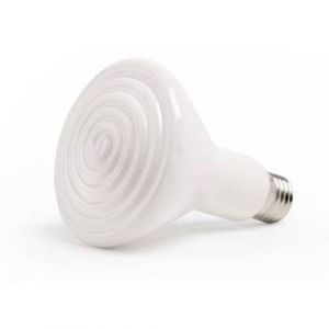Komodo Ampoule Radiant Heat