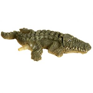 Image de Zolux Décor diffuseur crocodile nano