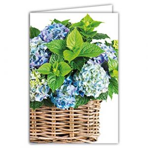 Afie 65-1327 Carte sans texte pour écrire en toutes occasions Anniversaire Remerciements Pensées affectueuses Pour toi Corbeille Fleurs Bleues Hortensias - Enveloppe Incluse - Fabriqué en France