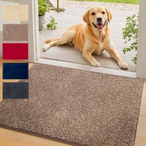 Tapis d'entrée absorbant Nasa Marron 80 x 120 cm