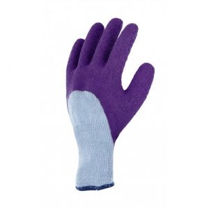 Gant Rosier violet 9