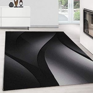 Teppium Tapis de Salon à style abstrait moderne Noir Tapis 240x340 cm - Poil Court Moelleux et Tendance