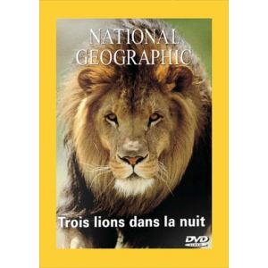 National Geographic : Trois lions dans la nuit