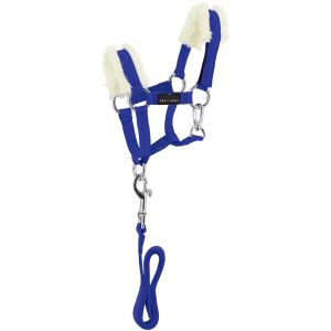 Ensemble licol et longe pour cheval Equithème Pony Academy