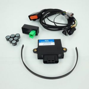 Boitier électronique Polini ECU