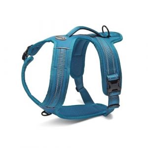 Record - Harnais pour Chien Action Alpes - Couleur Bleu - Taille S - Matière : Nylon Tressé avec Bandes Réfléchissantes 3M ScotchLite - Circonférence 48-57 cm