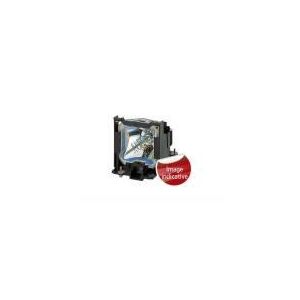 Panasonic ET-LAD510F - Lampe d'origine pour DW17K, DZ21K et PT-DS20K