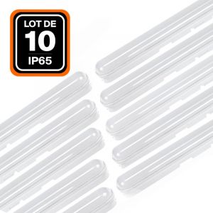 Image de Europalamp Lot de 10 boitiers étanche LED intégrées 50W Blanc Neutre 4000K 120CM