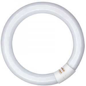 Tube Fluorescent Circulaire 40w, G10q, 6500 K Lumi&egrave;re Froide &oslash;400 Mm