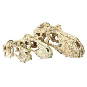 Komodo Accessoire de terrarium T-Rex Skull