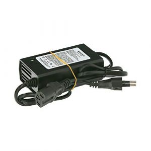 Wolfpack Chargeur soufflant électrique à Batterie 12 V/8 A 08052000