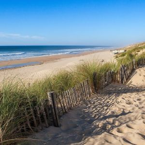 Ceanothe Toile 30x30cm bord plage Arcachon