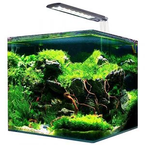 Nano aquarium en cube Amtra System