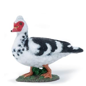 Papo Figurine Canard de Barbarie