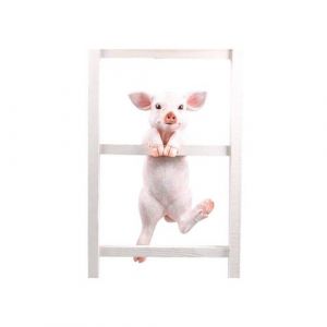 Farmwoodanimals Cochon sur bord en r&eacute;sine 49 5 x 21 x 25 cm