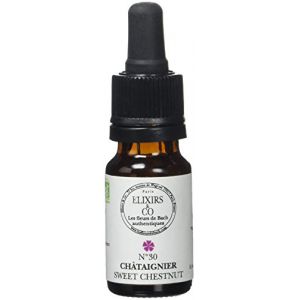 Elixirs & Co Fleurs de Bach Elixirs Chataignier