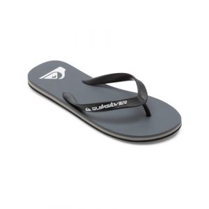 Quiksilver Molokai Core - Tongs pour Homme Gris - Taille 43