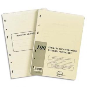 Visiodirect Recharge universelle 100 feuilles foliot&eacute;es, perforation 6 trous