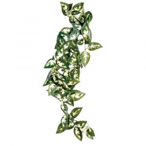 Komodo Accessoire pour aquarium Borneo Hanging Vine