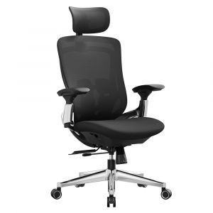 Songmics Chaise de Bureau acier polyester mousse nylon noir d'encre